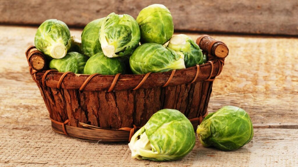 Brussels Sprouts