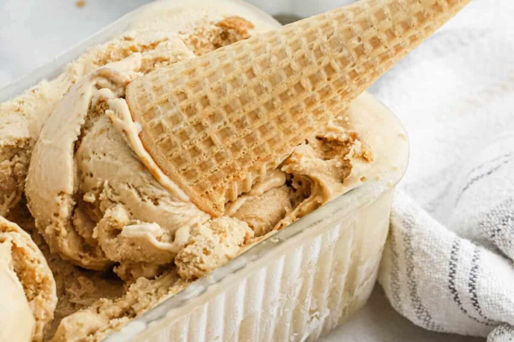 Cookie Butter Ice Cream Recipe