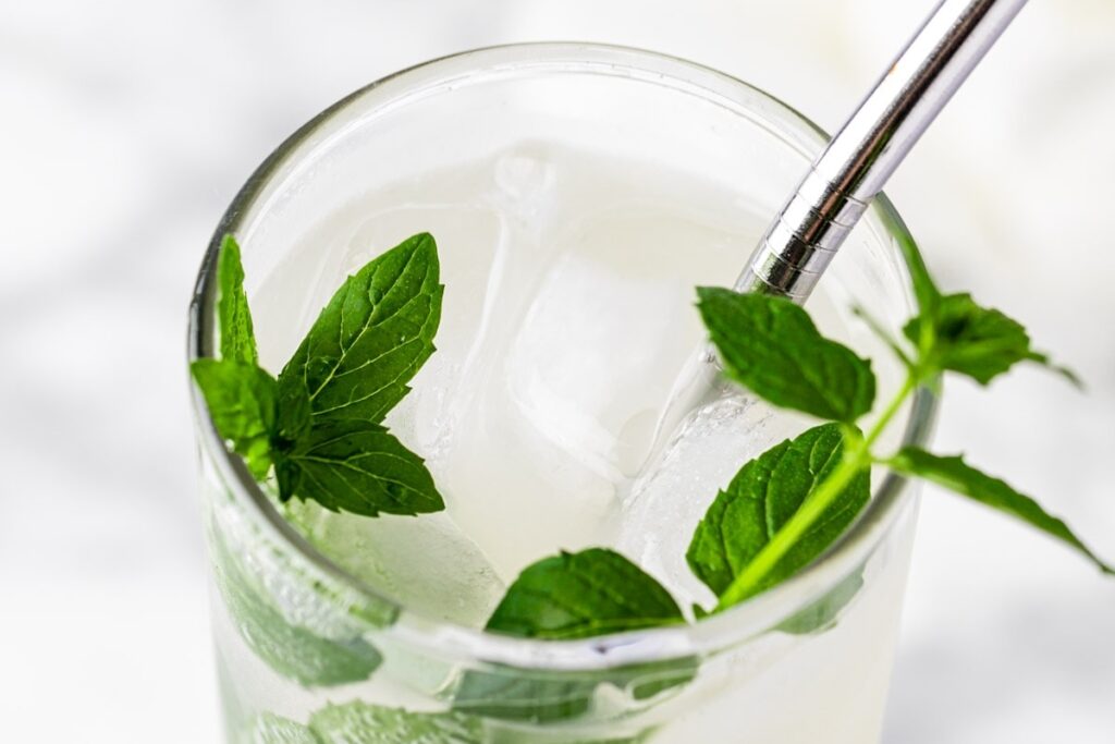 Lychee Mojito