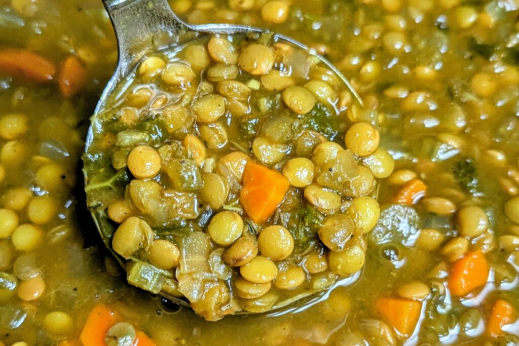 Slow Cooker Curried Lentil Soup