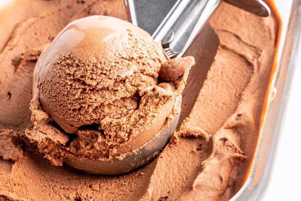 Vegan Chocolate Ice Cream