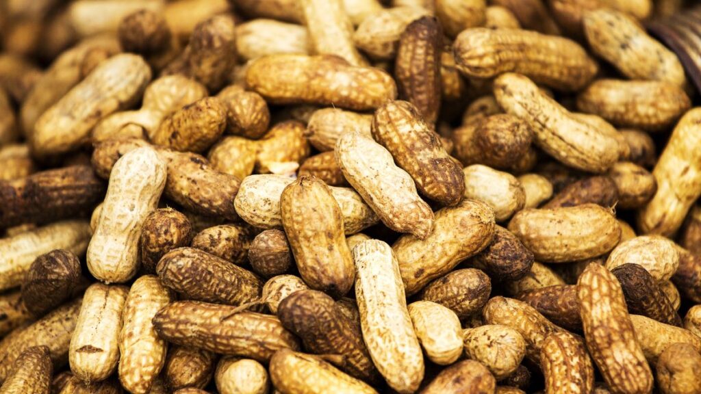 boiled peanuts