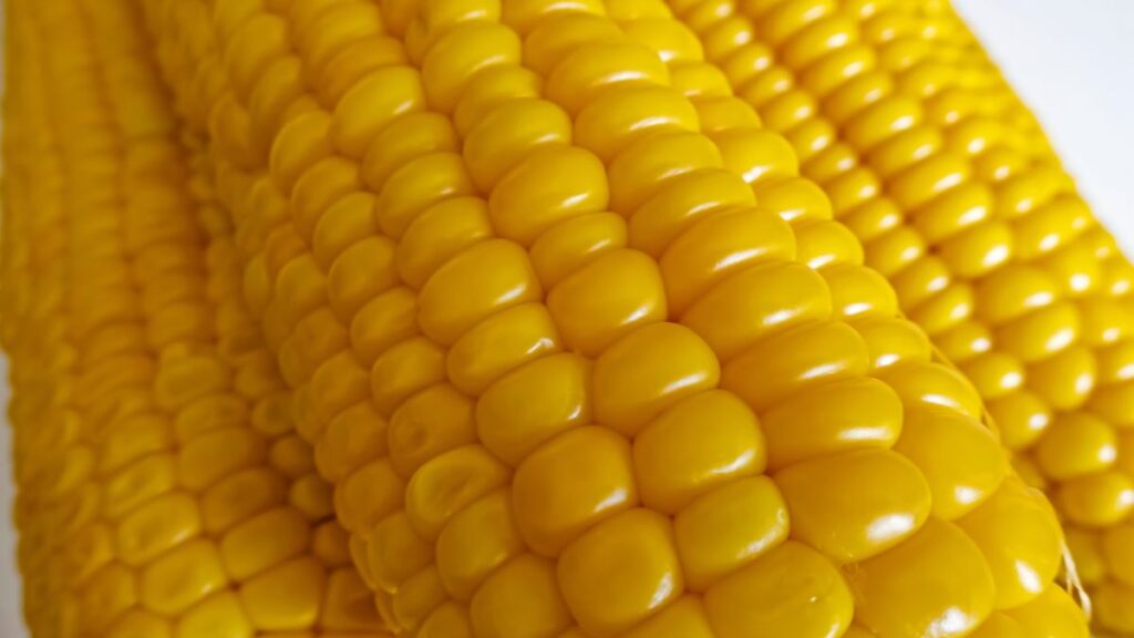 corn