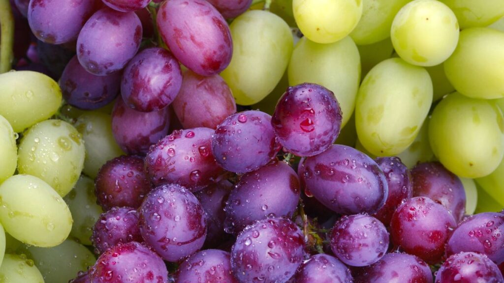 grapes