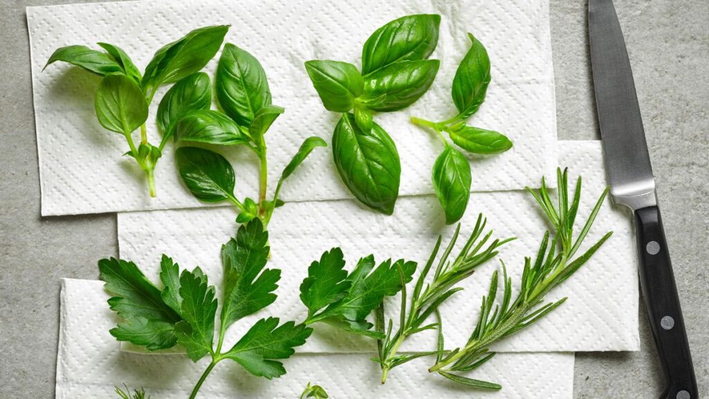 herbs with paper