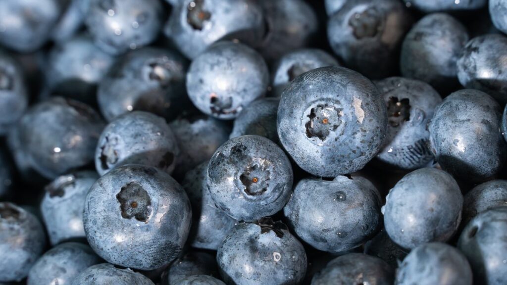 juicy blueberries