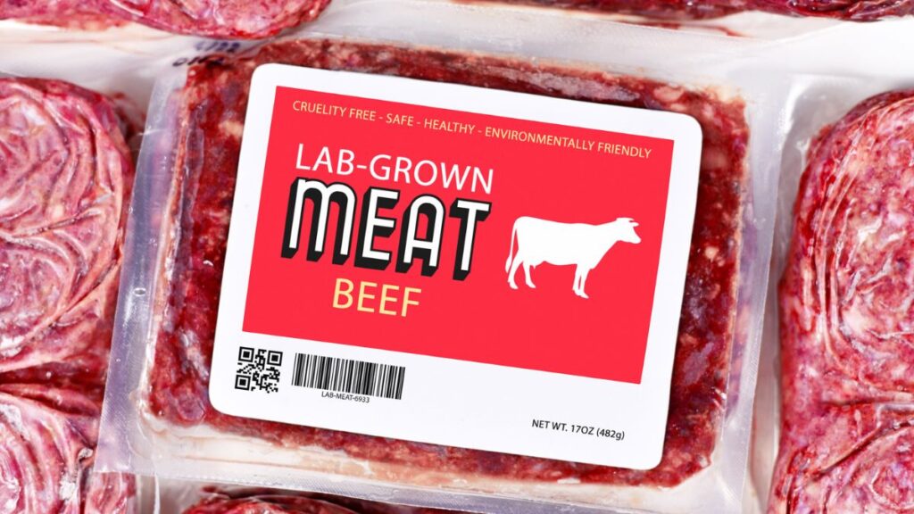 lab grown meat