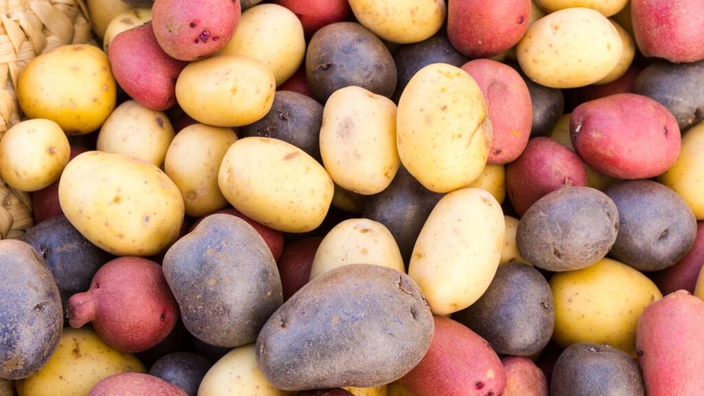 mixed potatoes