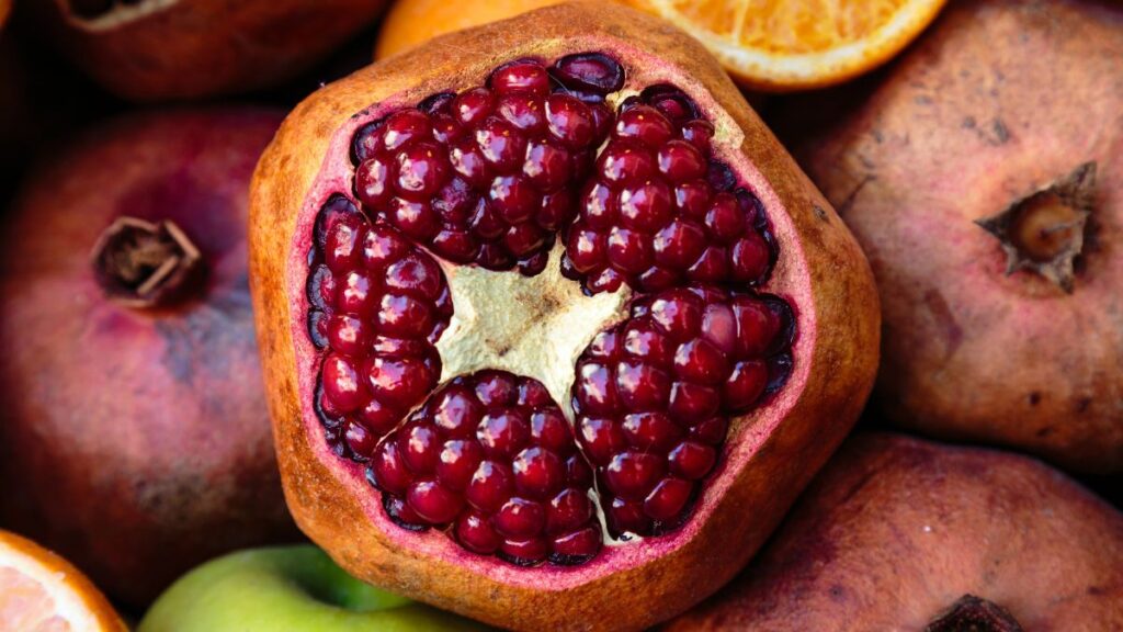 A Pomegranate