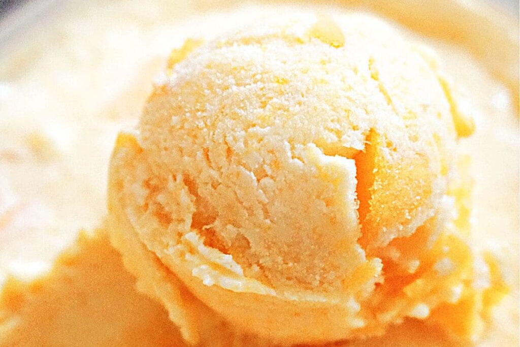 Canned Peach Ice Cream 