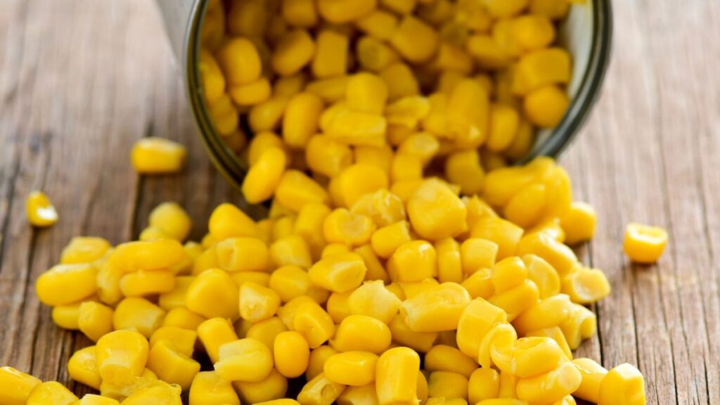 Canned Sweet Corn