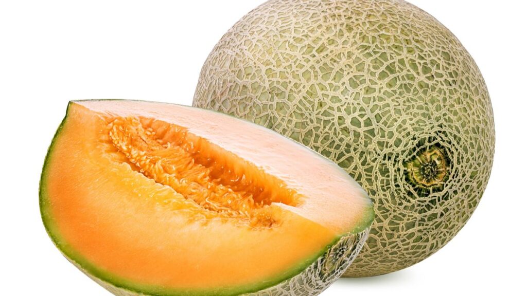 Cantaloupe