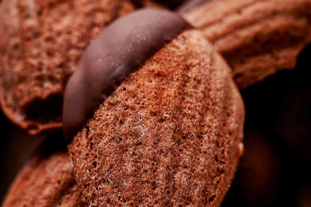 Double Chocolate Madeleines 