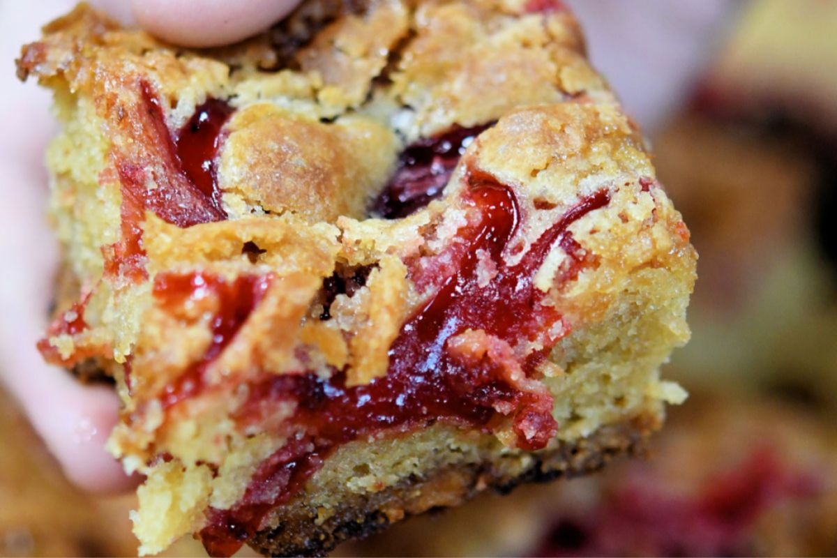 Raspberry White Chocolate Blondies Recipe