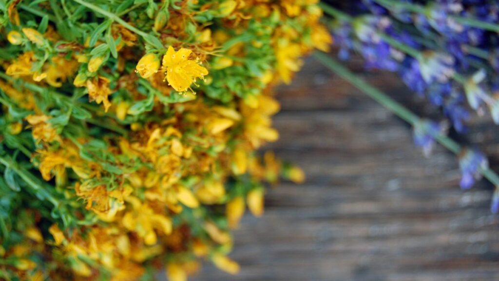 St. John’s Wort