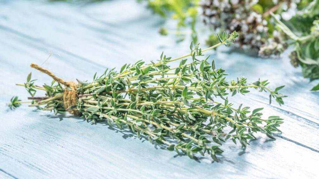 Thyme