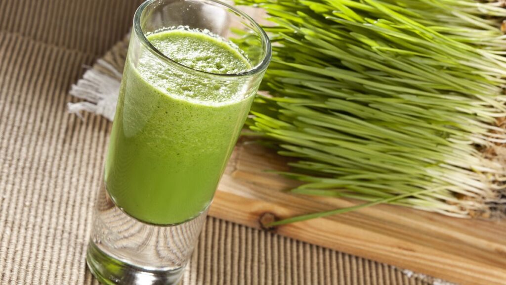 Wheatgrass