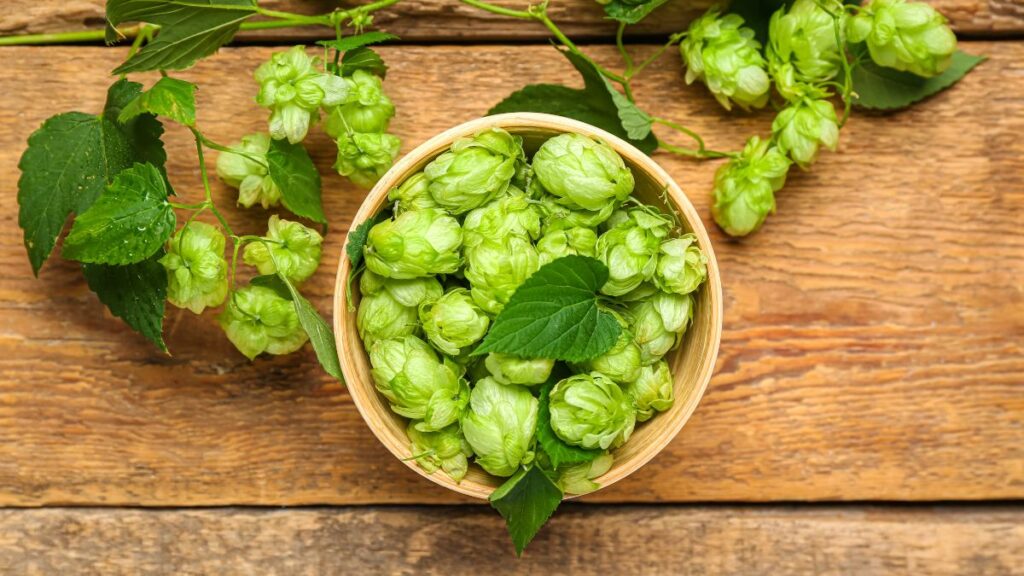 bowl of hops