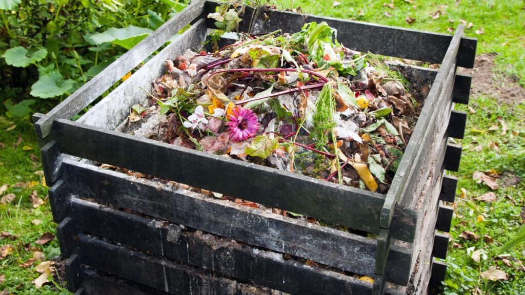 compost