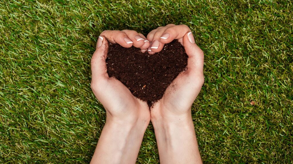 hand holding dirt in a heart