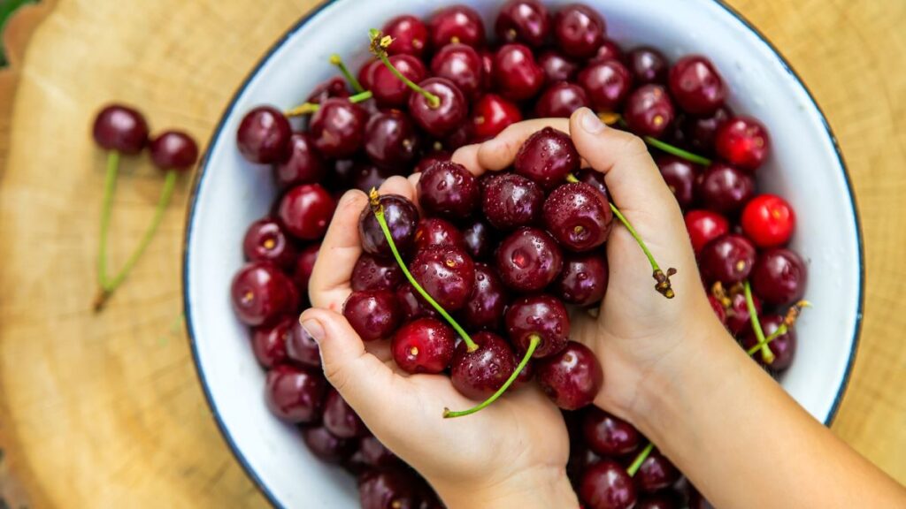 hands full of cherries