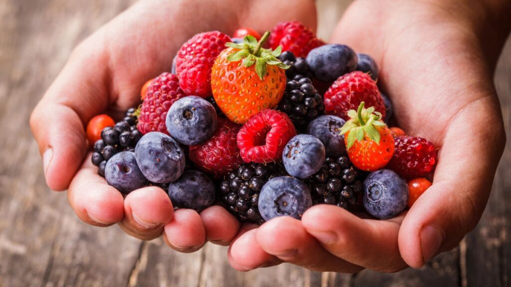 hands holding berries