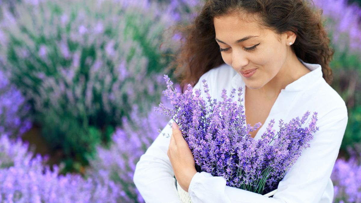 happy woman walking with arms full of lavender