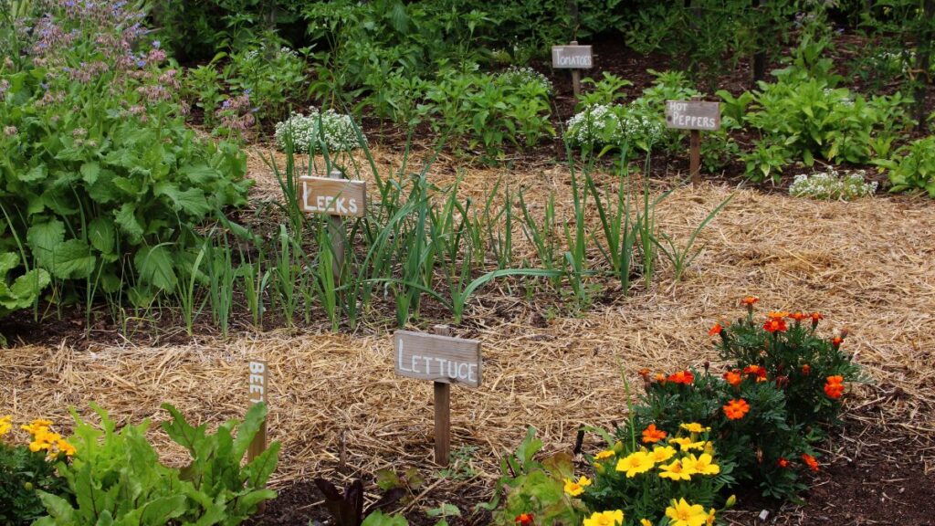 labeled garden