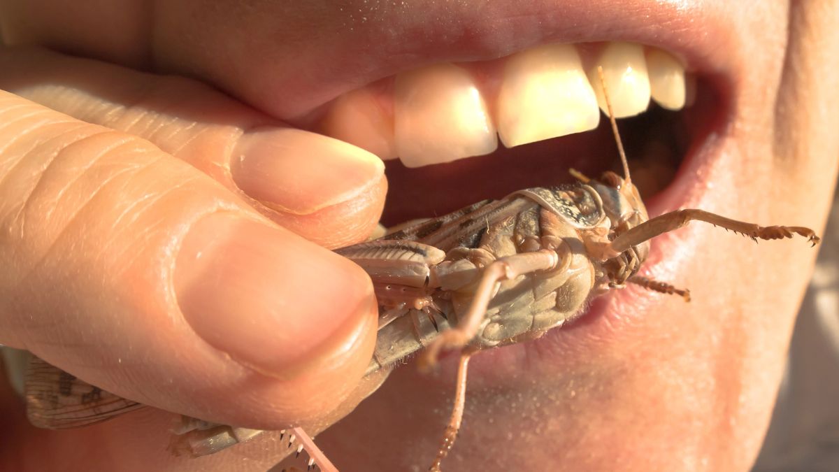 mouth eating a grasshopper