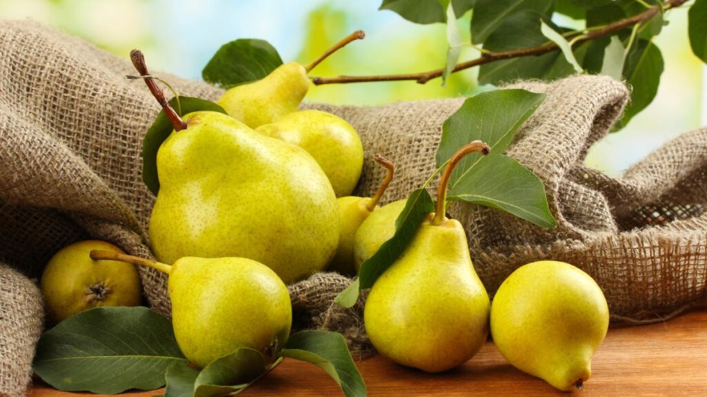 pears