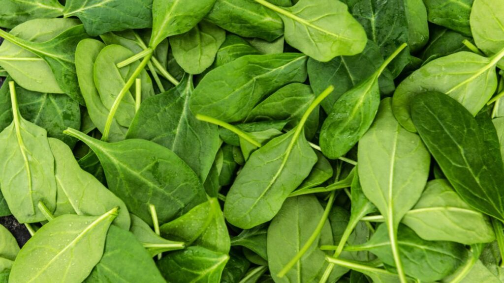 spinach leaves