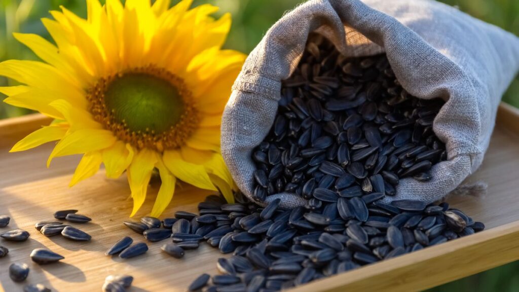 sunflower seeds