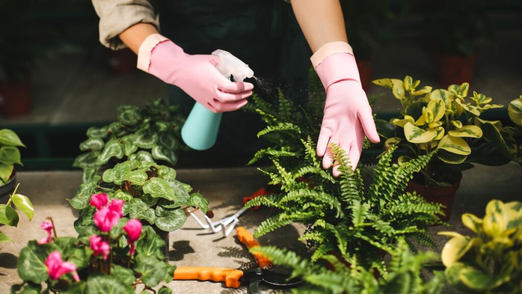 watering potted plants