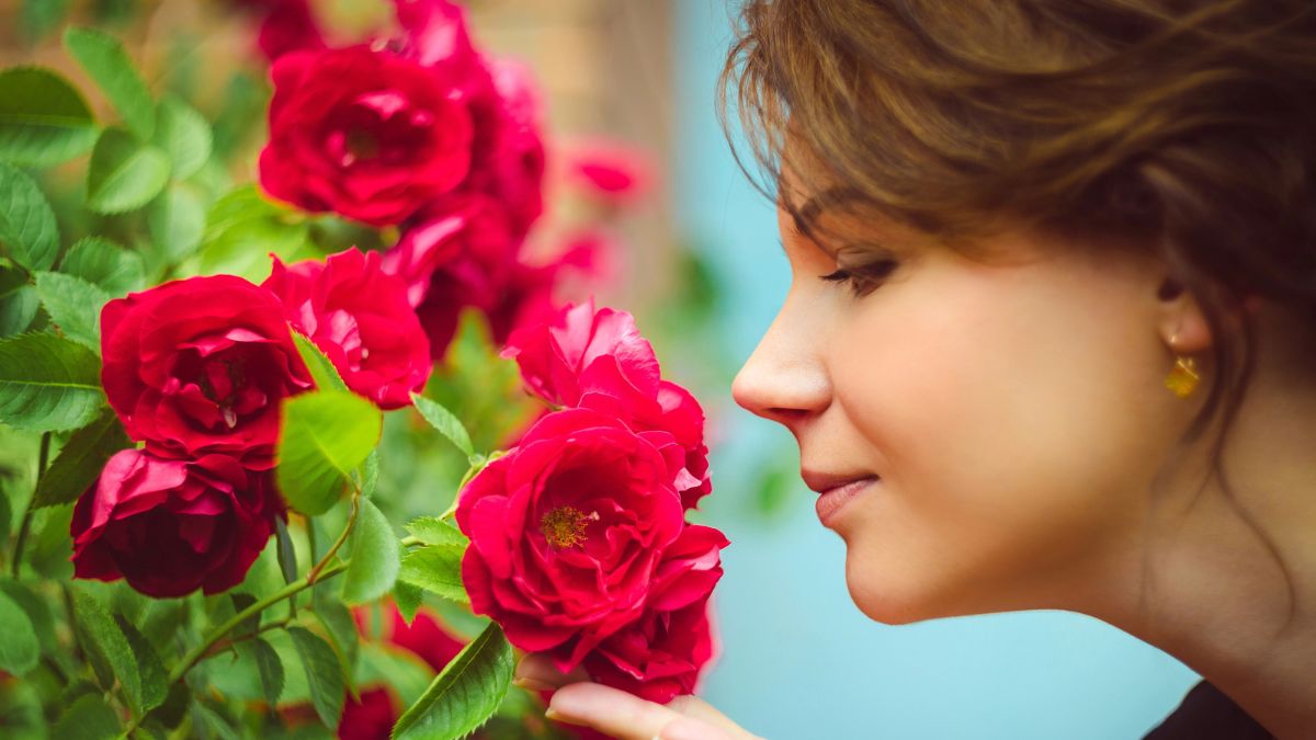 woman smelling rose