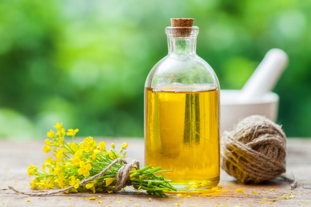 Bottle of rapeseed oil (canola) and repe flowers on table 