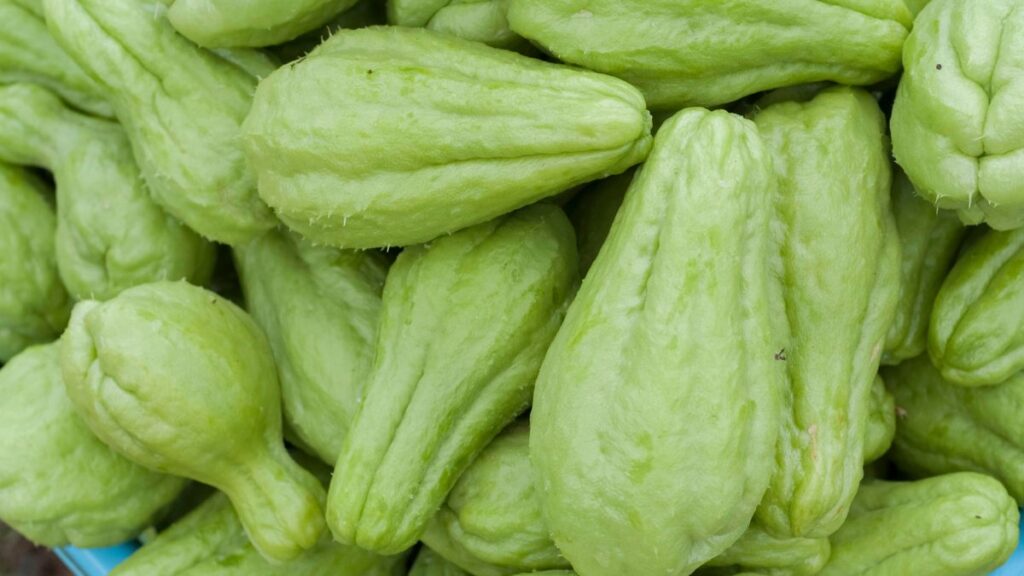 Chayote