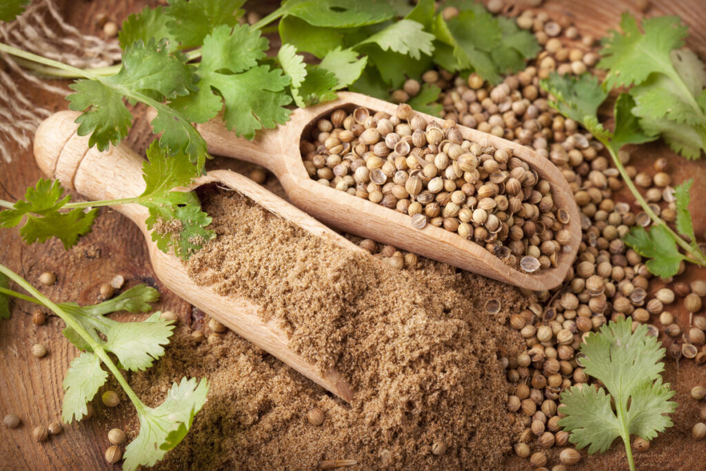 Coriander