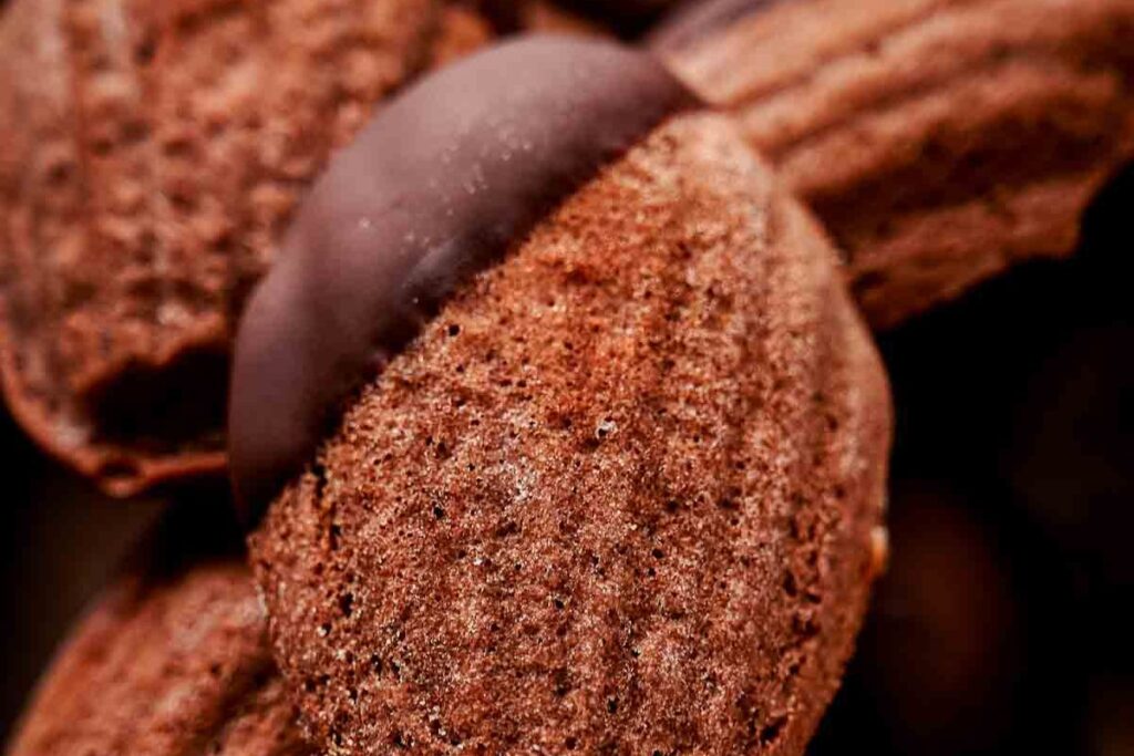 Double Chocolate Madeleines