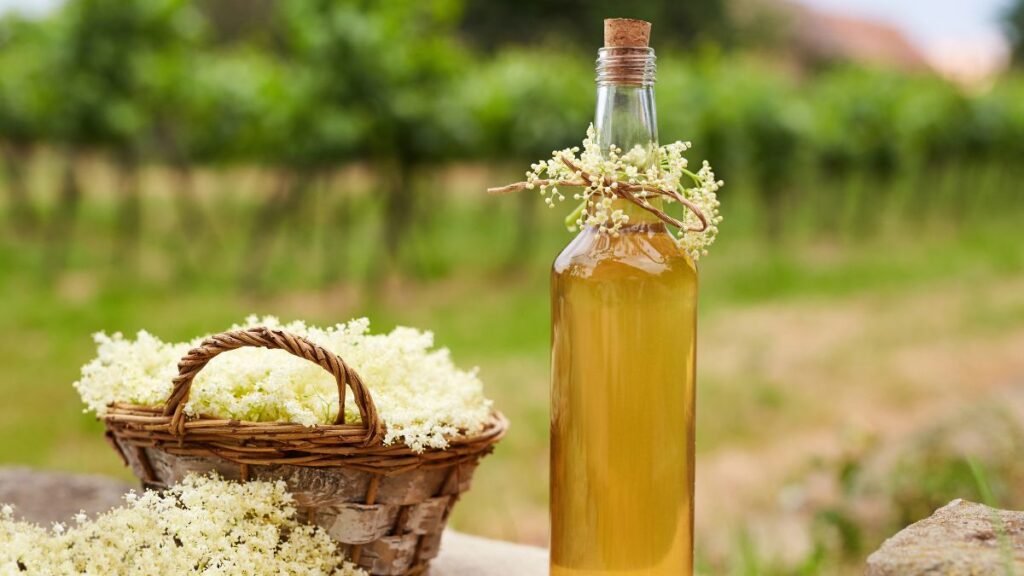 Elderflower Syrup