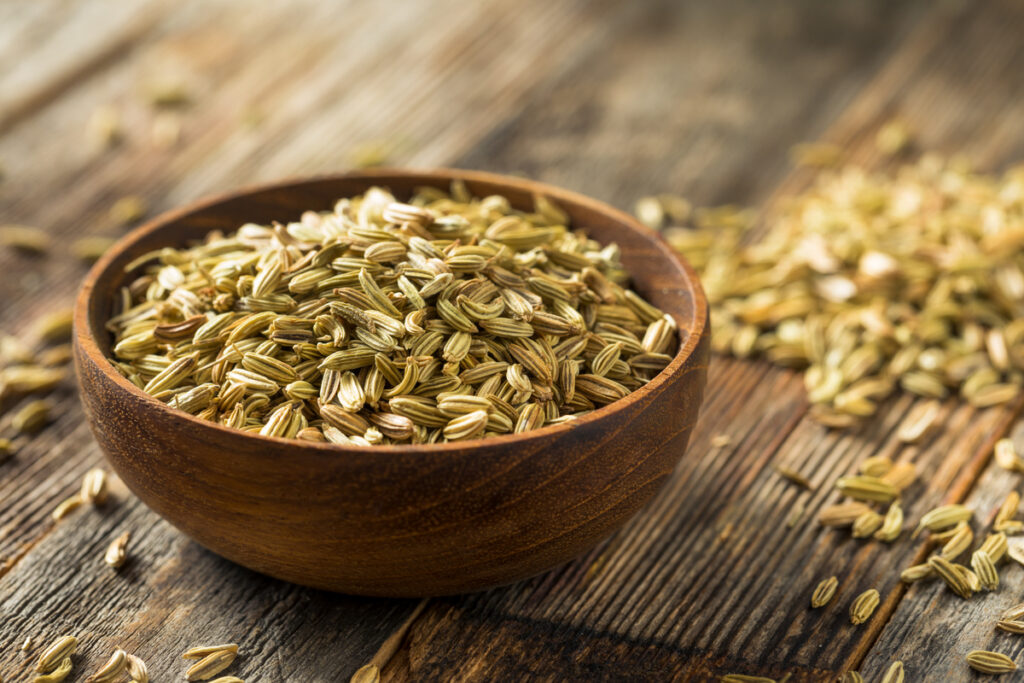 Raw Dry Organic Fennel Seeds