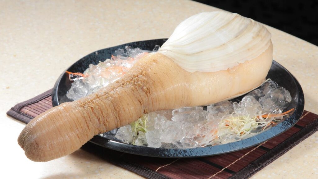 Geoduck