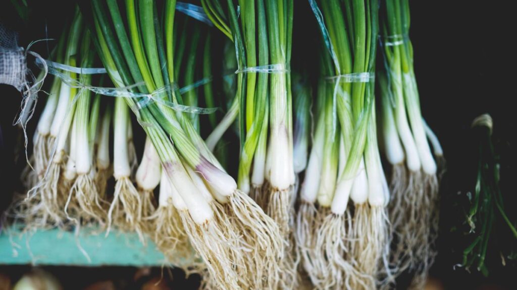 Green Onions