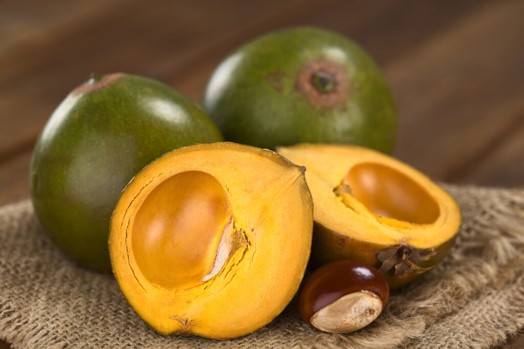 Lucuma