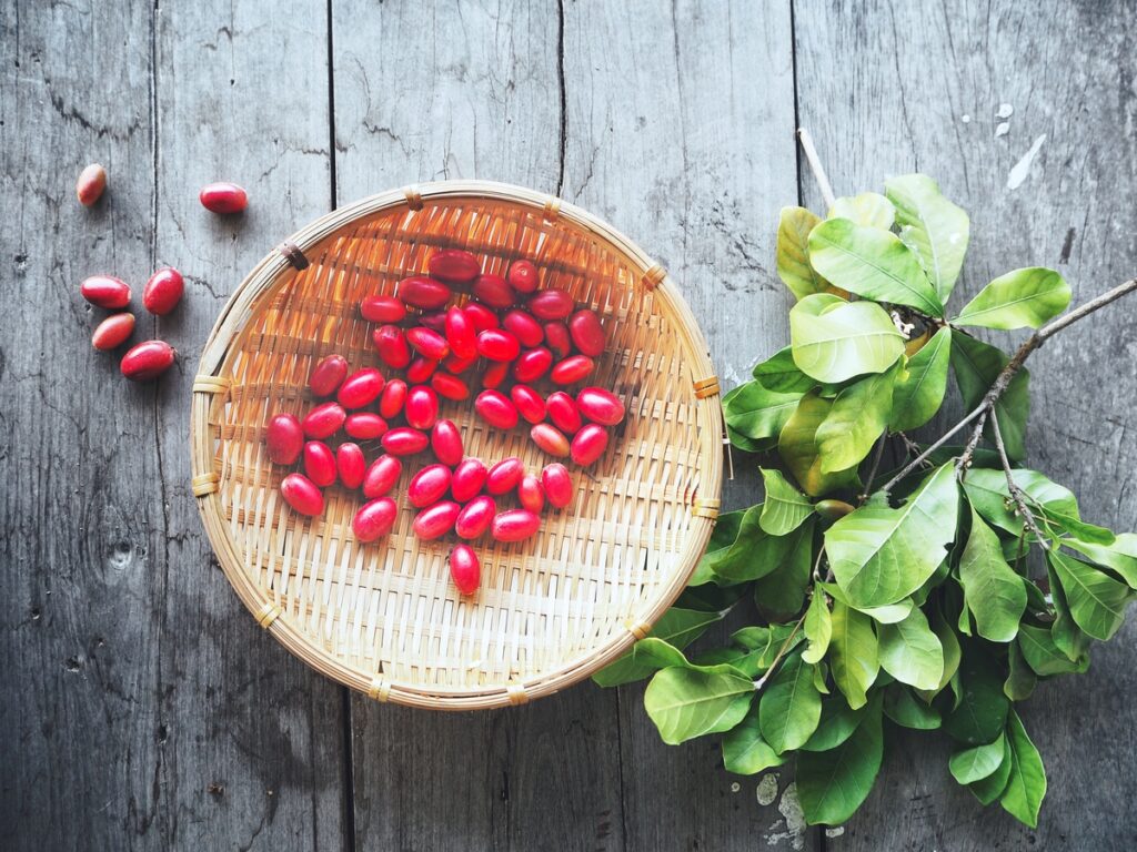 Miracle fruit on wood background