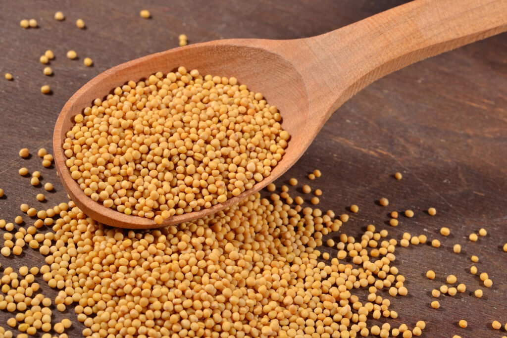 White mustard seeds in a wooden spoon