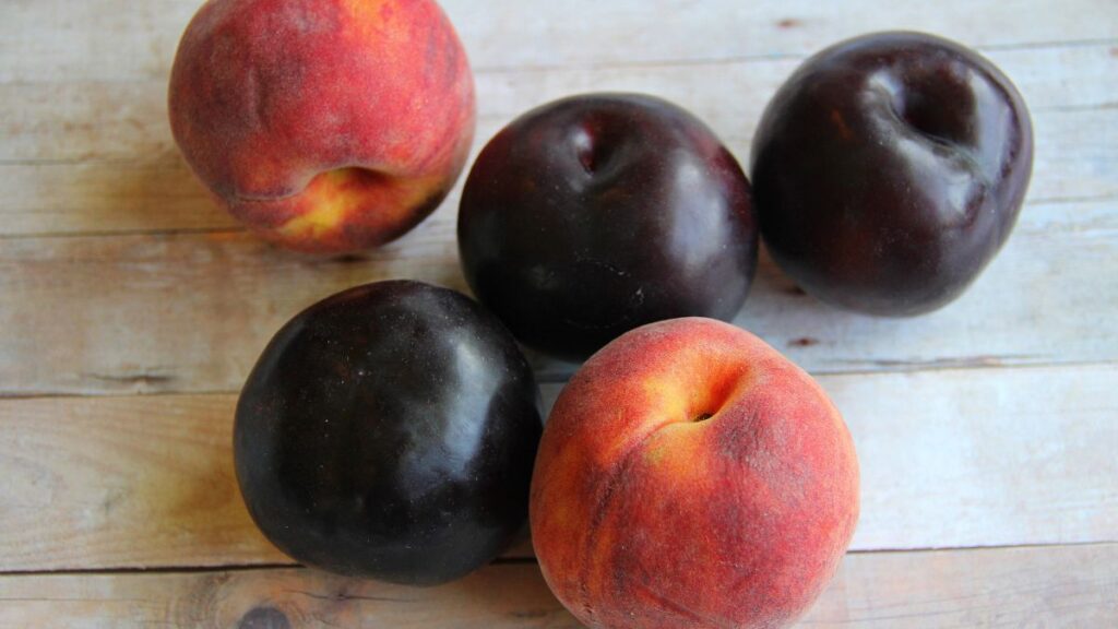 Peaches and Plums