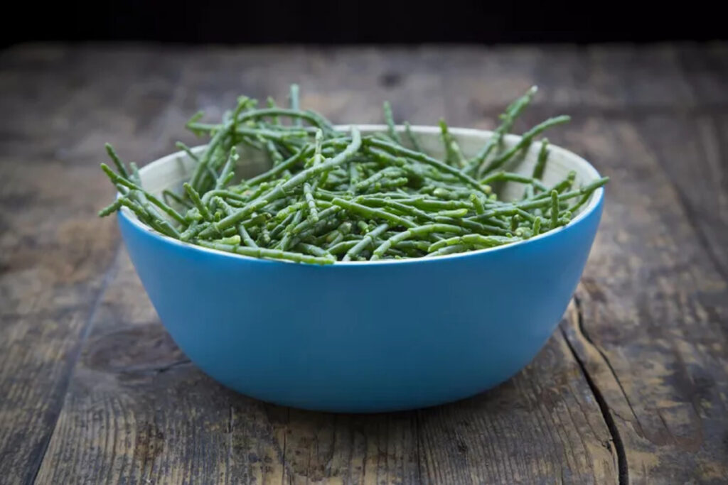 Samphire