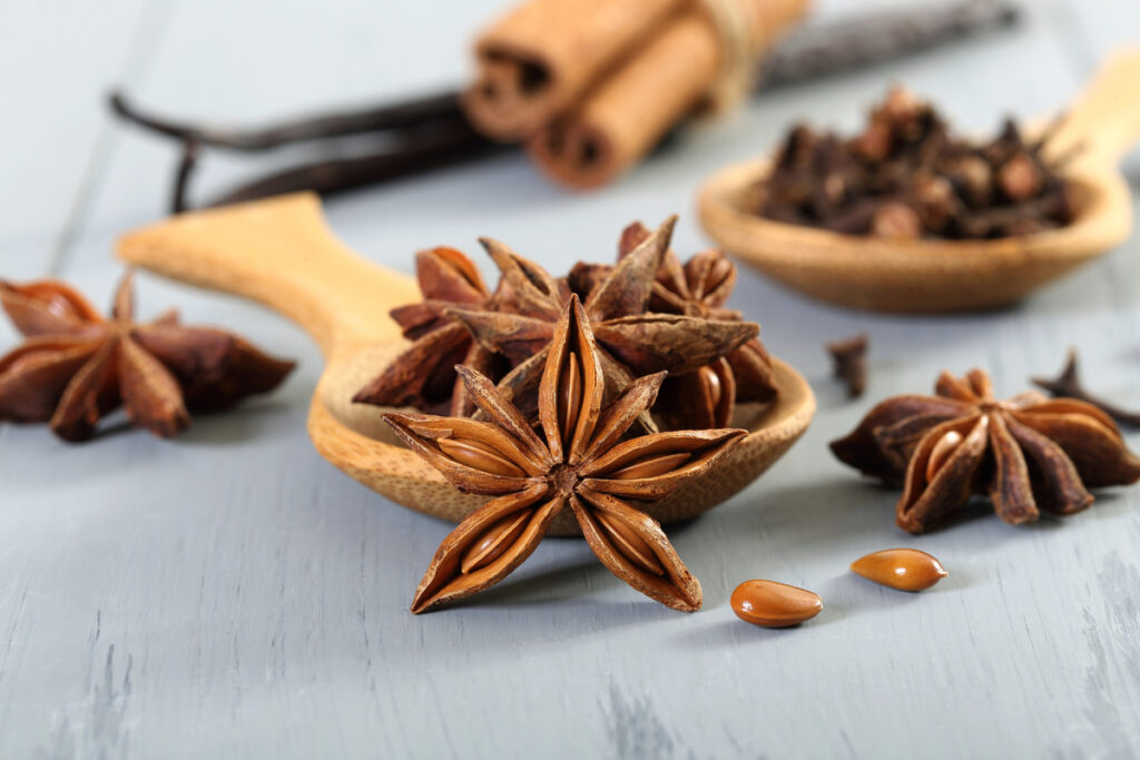 Star anise on wooden spoon