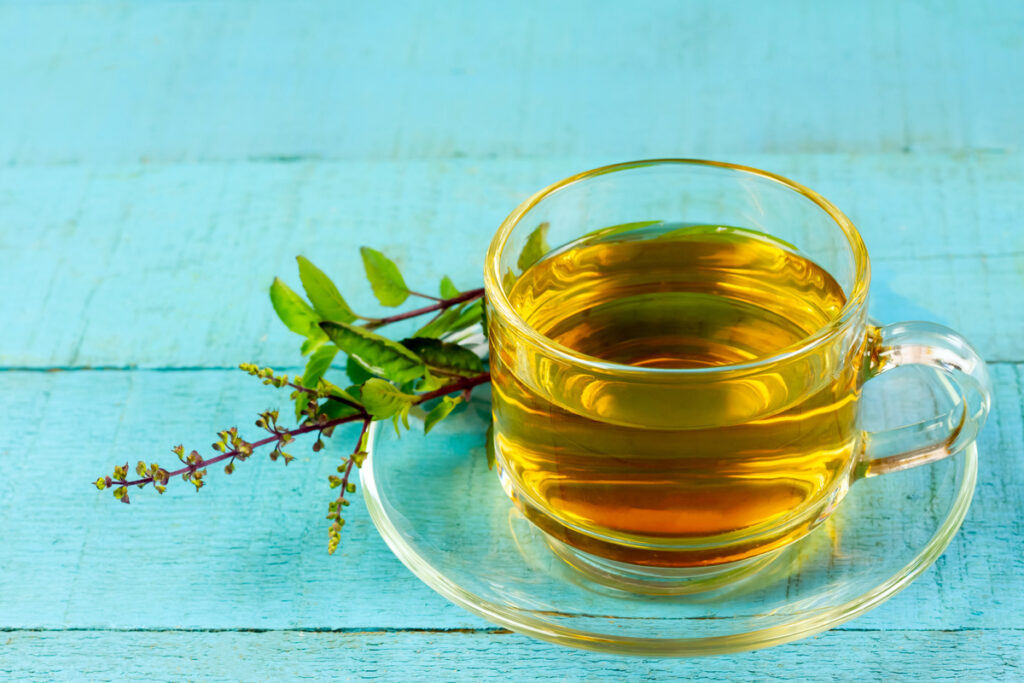 Tulsi or holy basil tea in transparent glass cup with fresh tulsi roots