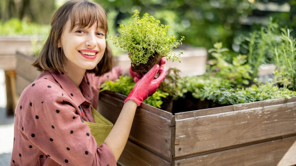 gardening herbs in small spaces